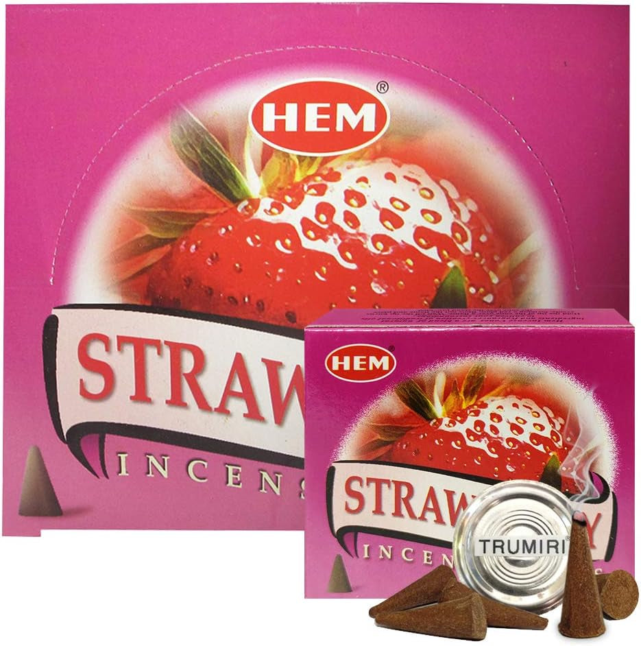 Strawberry Incense Cone Set with Cone Burner - Hem Incense Collection