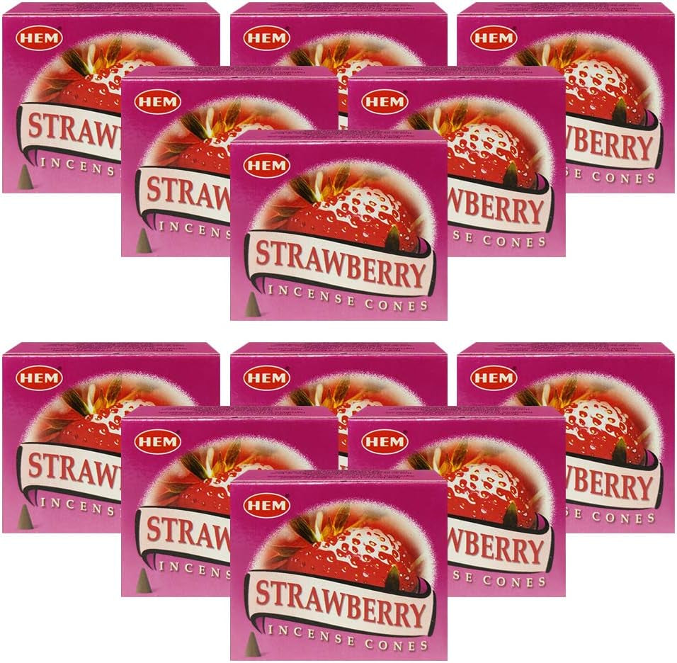 Strawberry Incense Cone Set with Cone Burner - Hem Incense Collection