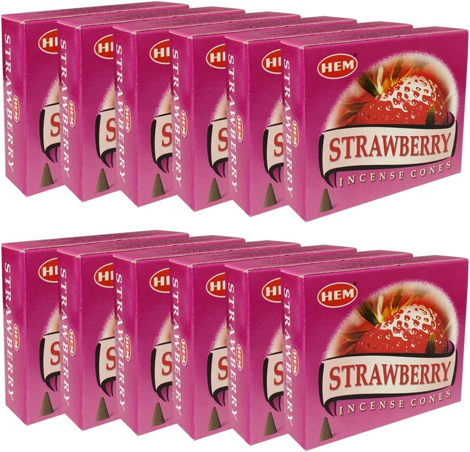 Strawberry Incense Cone Set with Cone Burner - Hem Incense Collection