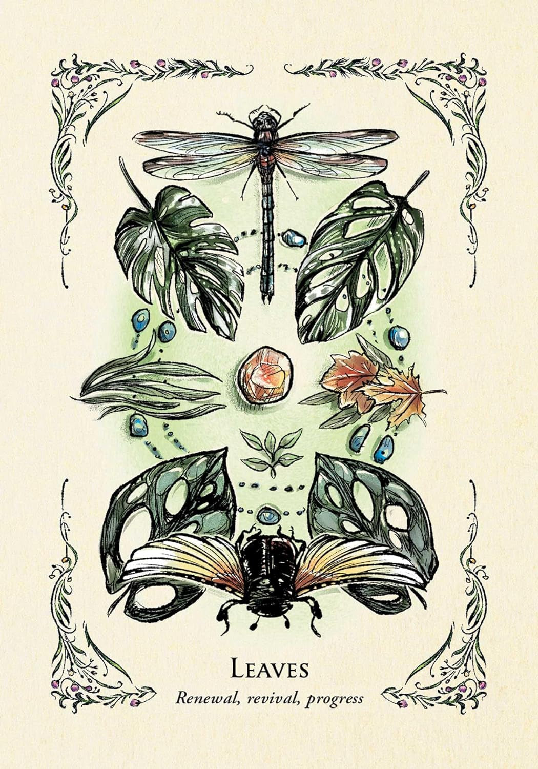 The Green Witch'S Oracle Deck: Embrace the Wisdom and Insight of Natural Magic (Green Witch Witchcraft Series)