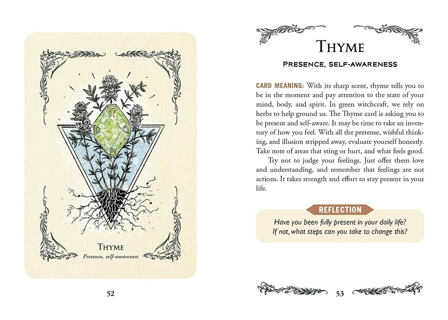 The Green Witch'S Oracle Deck: Embrace the Wisdom and Insight of Natural Magic (Green Witch Witchcraft Series)