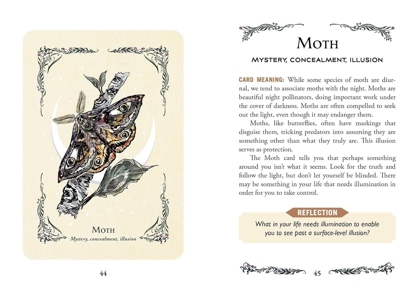 The Green Witch'S Oracle Deck: Embrace the Wisdom and Insight of Natural Magic (Green Witch Witchcraft Series)