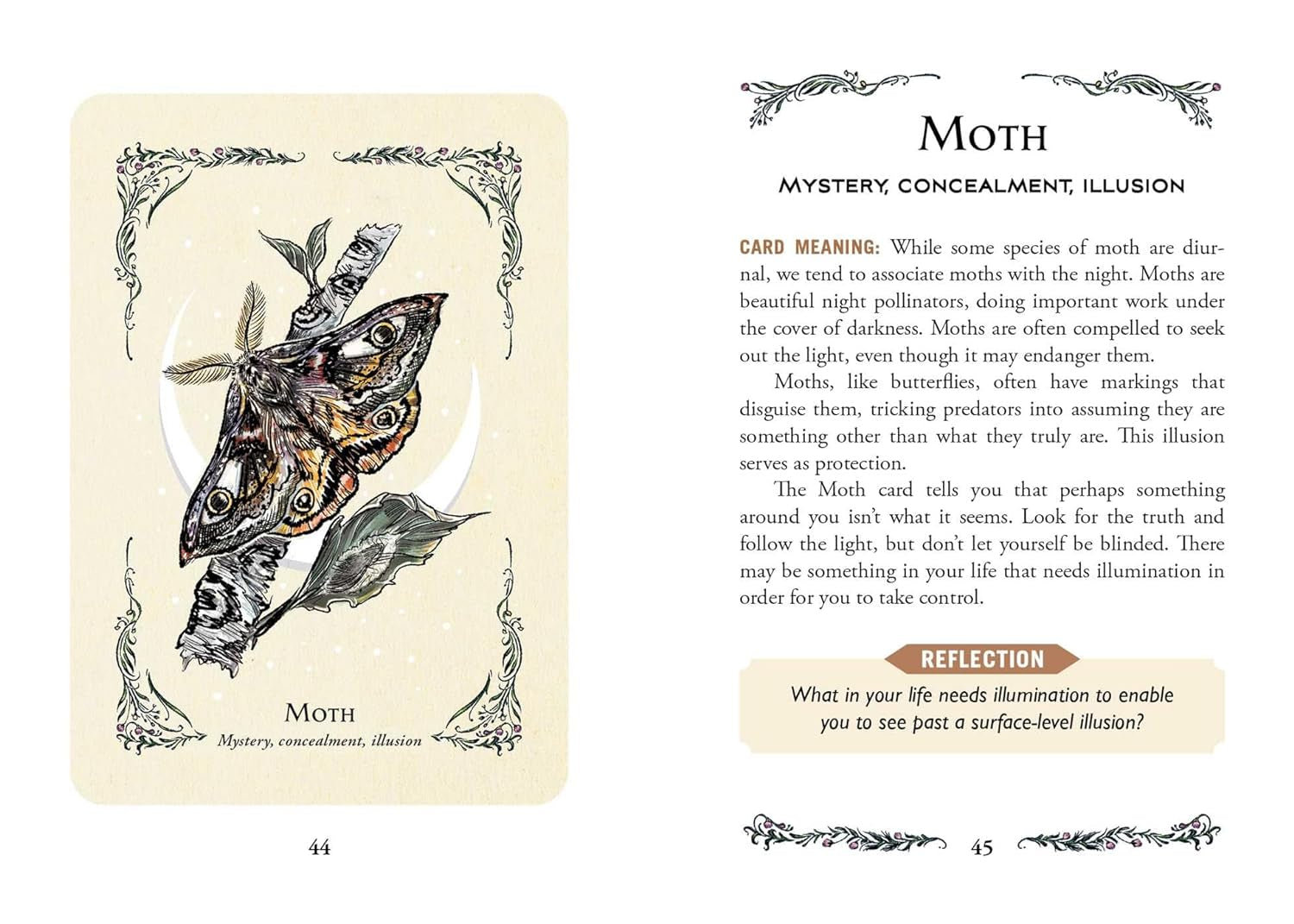The Green Witch'S Oracle Deck: Embrace the Wisdom and Insight of Natural Magic (Green Witch Witchcraft Series)