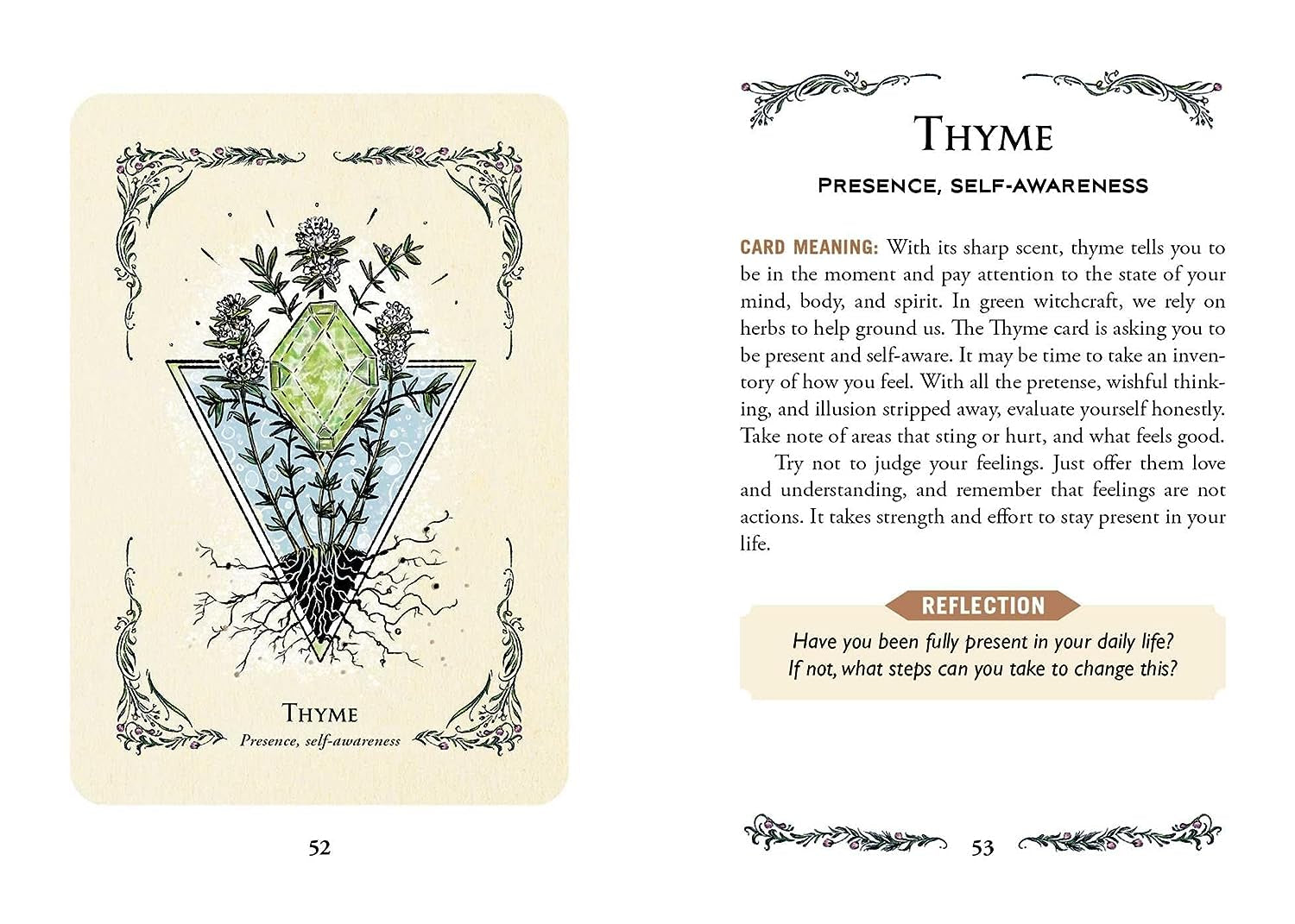 The Green Witch'S Oracle Deck: Embrace the Wisdom and Insight of Natural Magic (Green Witch Witchcraft Series)